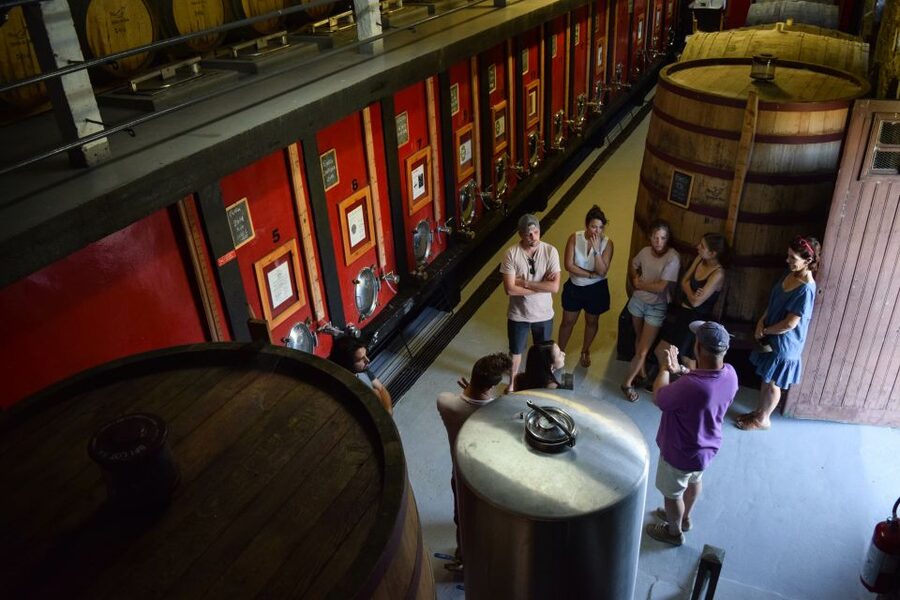 Douro Valley: Winery Tour at Quinta do Tedo and Tastings - Organic estate grapes and Class A vineyards: what you’re really paying for