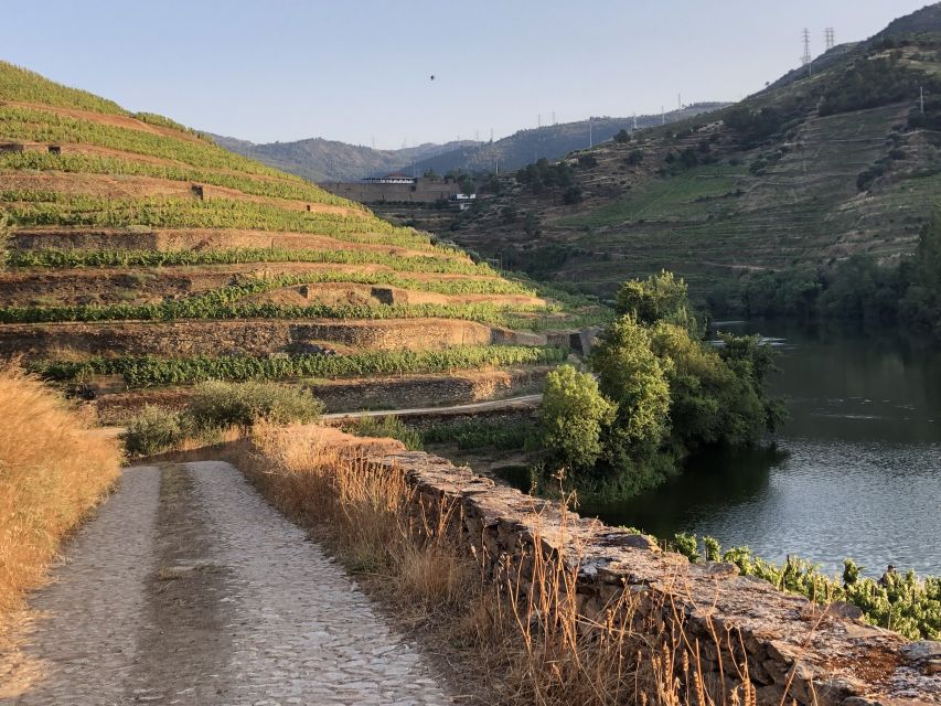 Douro Valley: Winery Tour at Quinta do Tedo and Tastings - Where you start: meeting point near Folgosa and time planning