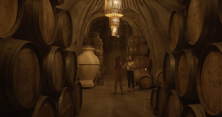 Douro Valley: Winery Tour at Quinta do Tedo and Tastings - Should you book this Quinta do Tedo wine tour?
