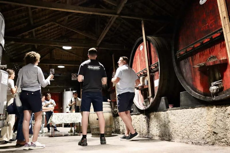 Douro Valley: Winery, Traditional Lunch & Private Boat Trip - Who This Tour Fits Best (and Who Should Skip It)