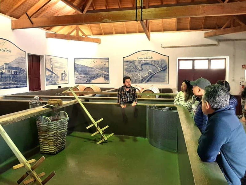 Douro Valley: Winery, Traditional Lunch & Private Boat Trip - A Douro Day Tour That Feels Built for Taste (Not Just Time)
