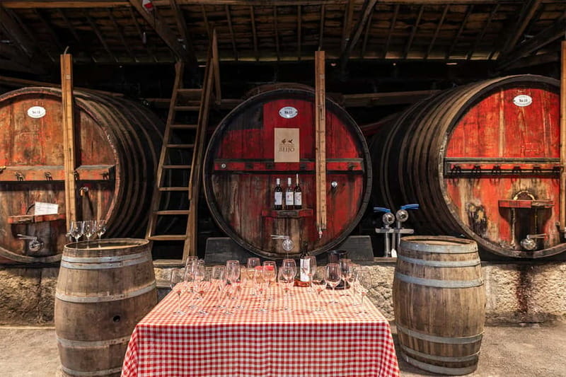 Douro Valley: Winery, Traditional Lunch & Private Boat Trip - Price and Value: Why This Costs More (and When It’s Worth It)
