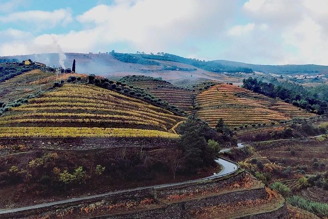 Douro Valley with Two Winery, Boat Trip and Lunch From Porto - Key Things I’d Prioritize on This Douro Day Trip