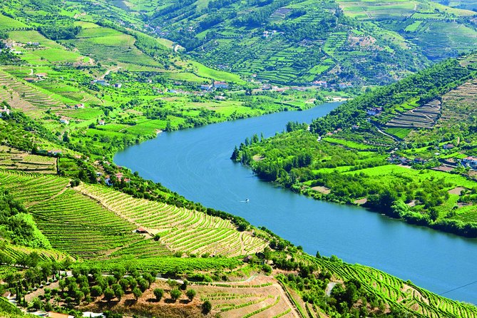 Douro Valley with Two Winery, Boat Trip and Lunch From Porto - A Great Day Starts at Igreja da Lapa in Porto