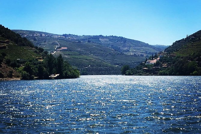 Douro Valley with Two Winery, Boat Trip and Lunch From Porto - Lunch at Tabuaco: Where the Day Gets Serious