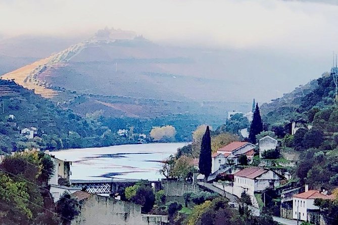 Douro Valley with Two Winery, Boat Trip and Lunch From Porto - Pinhão River Cruise: 50 Minutes on Douro Water