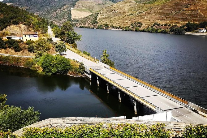 Douro Valley with Two Winery, Boat Trip and Lunch From Porto - D’Origem: Second Winery Tasting to Close the Loop
