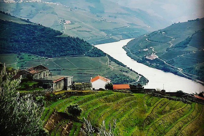 Douro Valley with Two Winery, Boat Trip and Lunch From Porto - Port wine estate visits: what the tastings are really for