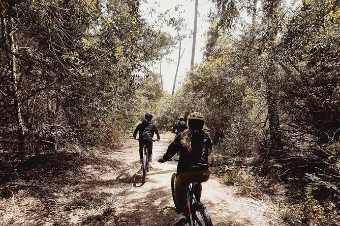 E-Bike Wild Experience with Transport from Porto and Braga - Fat bike / e-bike handling on sand and humid stretches