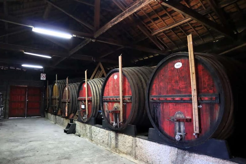 Exclusive Douro Valley: 3 Wineries, 9 Wine Tastings & Lunch - Key things I’d circle before you go