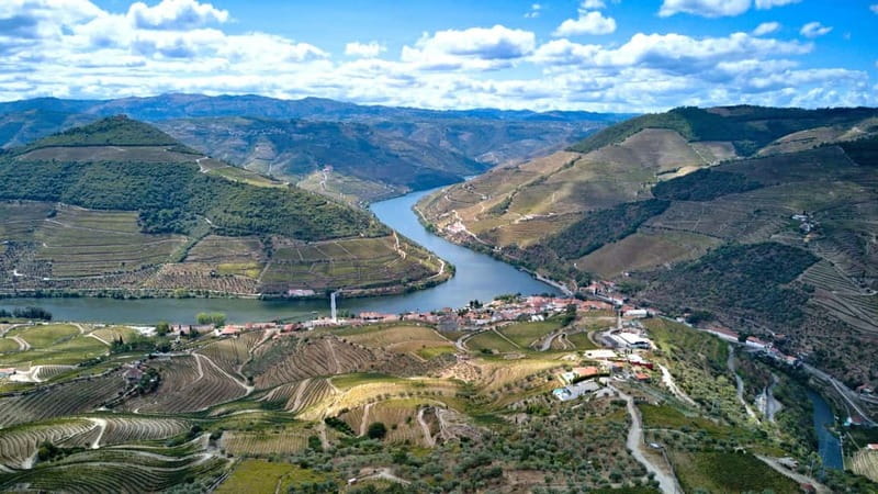 Exclusive Douro Valley: 3 Wineries, 9 Wine Tastings & Lunch - The guide experience: small group, safer driving, real talk
