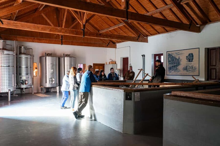 Exclusive Douro Valley: 3 Wineries, 9 Wine Tastings & Lunch - Tasting 1: Port and DOC wines without the confusion