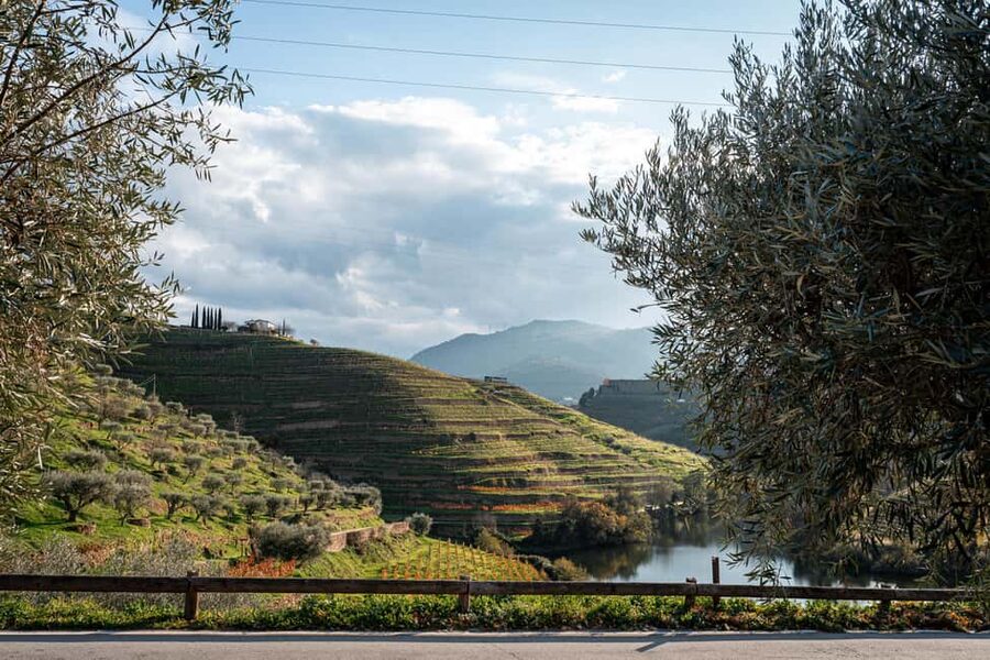 Exclusive Douro Valley: 3 Wineries, 9 Wine Tastings & Lunch - Lunch by the riverside: Portuguese flavors with DOC Douro wine