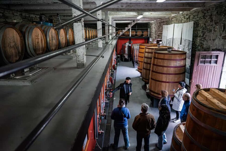 Exclusive Douro Valley: 3 Wineries, 9 Wine Tastings & Lunch - Stop 2 winery: views first, then a tasting of 4 wines