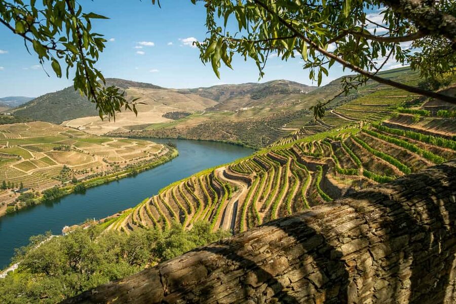 Exclusive Douro Valley: 3 Wineries, 9 Wine Tastings & Lunch - Morning in Porto: pickup timing and what to bring
