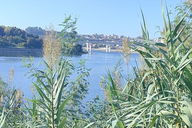 Excursion in Porto for sport lovers - Gramido calisthenics training: bodyweight strength that feels practical