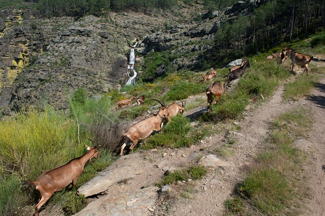 Fisgas de Ermelo Trail - Stop 1: Parque Natural do Alvão and the stories behind the scenery