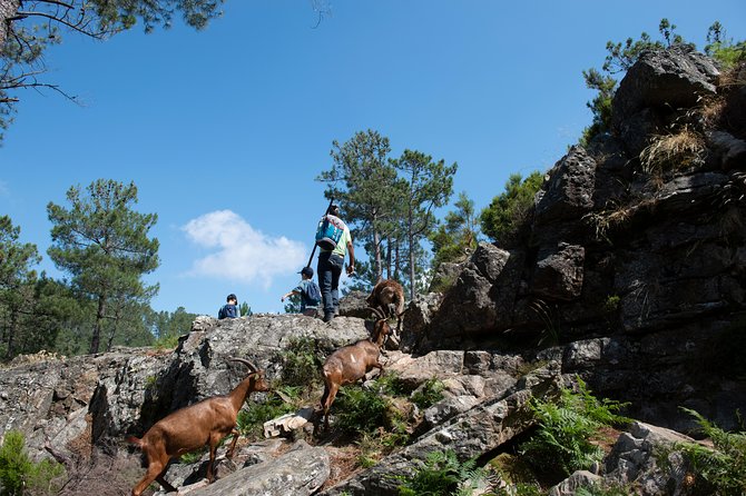 Fisgas de Ermelo Trail - The “local culture” part: meeting people and tasting the region