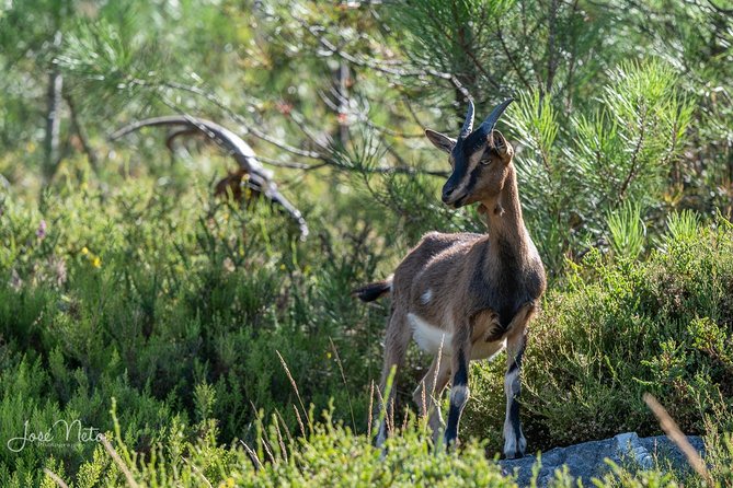 Fisgas de Ermelo Trail - Mondim de Basto start point and what to expect from the 5-hour format