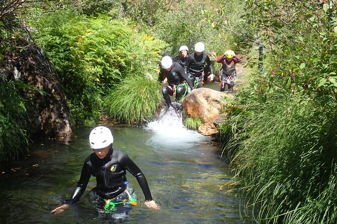 From Arouca: Canyoning Adventure - Adventure Tour - Lunch at Arouca Great Gastronomy: Veal and Conventual Pastry