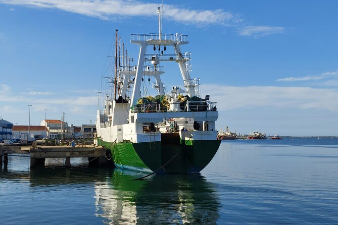 From Aveiro: Costa Nova, Barra, Vista Alegre - Half-Day Trip - Who should book this trip