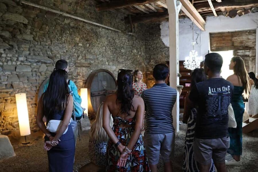 From Porto: 2 Boutique Wineries w/ Winery Lunch & 1-h cruise - Who this tour is best for, and who should skip it