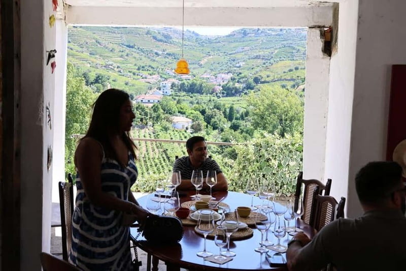 From Porto: 2 Boutique Wineries w/ Winery Lunch & 1-h cruise - The N222 drive: when you’re not just traveling, you’re sightseeing