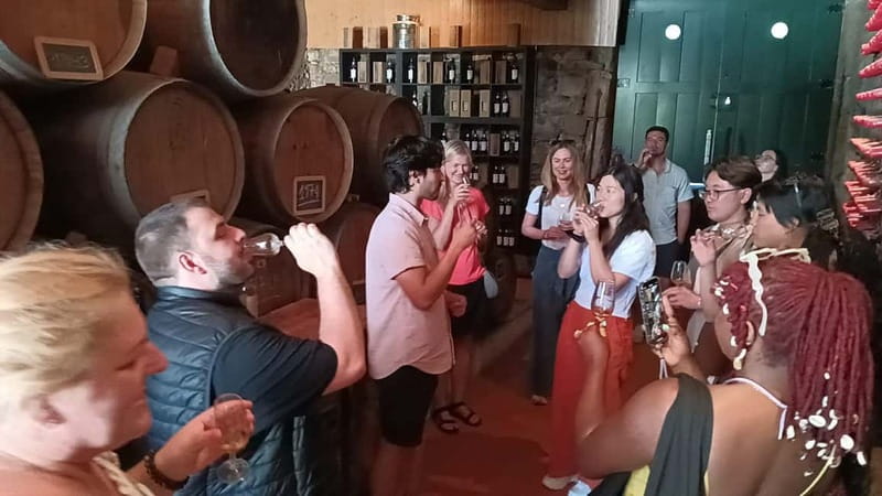 From Porto: 2 Wine Regions, Farm Lunch, and Boat Ride - Group size, comfort, and how to avoid minor annoyances