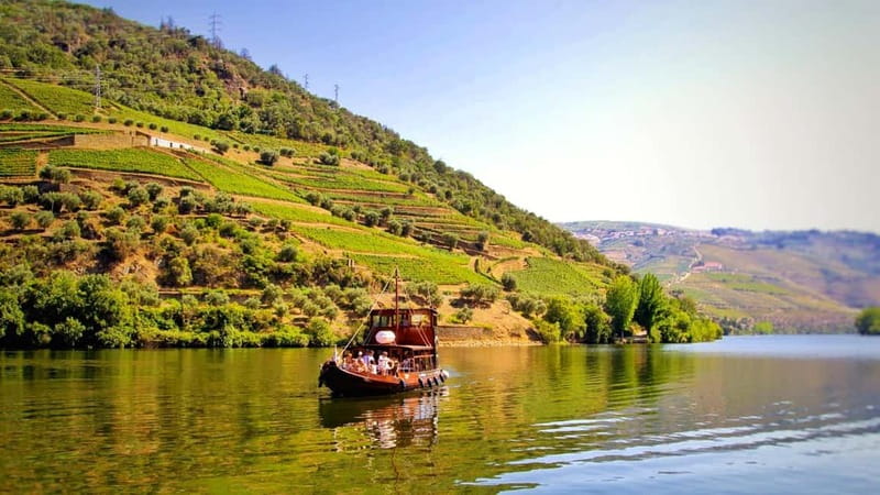 From Porto: 2 Wine Regions, Farm Lunch, and Boat Ride - Why this Douro Valley day trip feels more personal