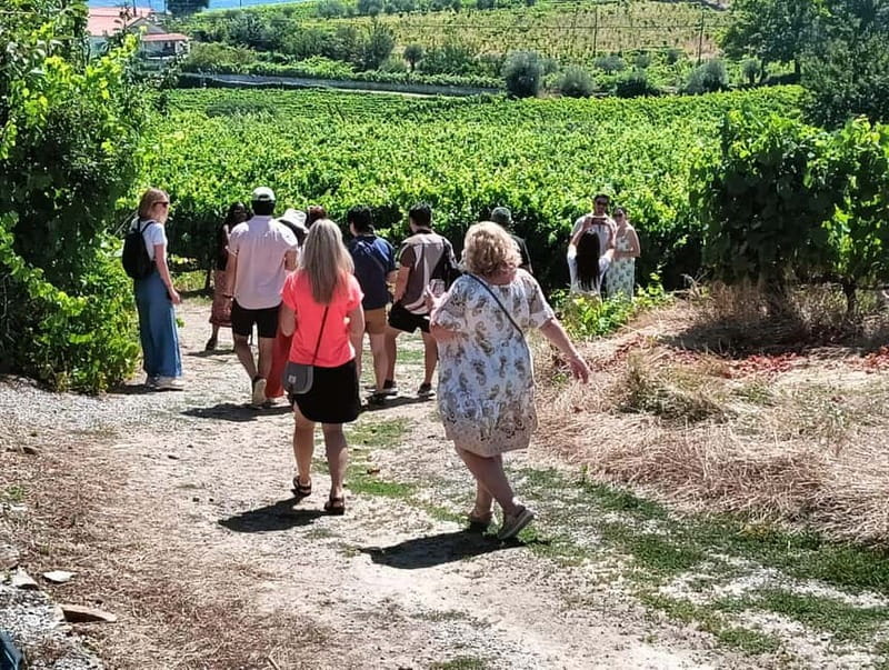 From Porto: 2 Wine Regions, Farm Lunch, and Boat Ride - The dam-and-river drive: scenery that sets the stage