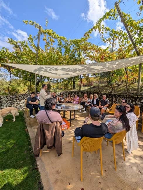From Porto: 2 Wine Regions, Farm-to-Table Lunch & Boat - Guide quality is the difference between good and great