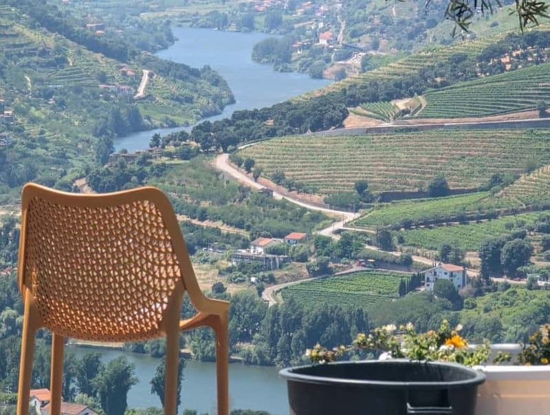 From Porto: 2 Wine Regions, Farm-to-Table Lunch & Boat - The Vintage Porto fire moment: the show you’ll remember