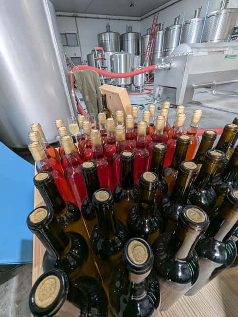 From Porto: 2 Wine Regions, Farm-to-Table Lunch & Boat - 10 wine tastings plus olive oil: what you’re actually learning