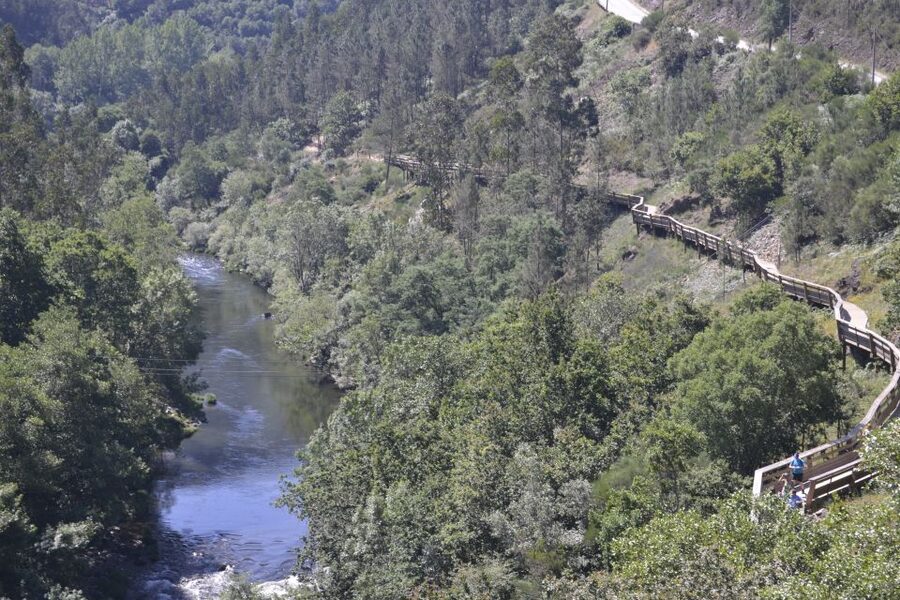 From Porto: 516 Arouca Bridge, Paiva Walkways and Aveiro - A smooth, small-group day from Porto (and why that matters)