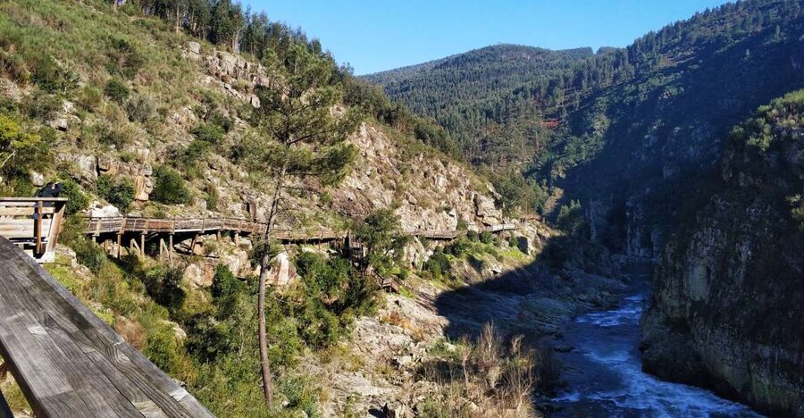 From Porto: Arouca 516 and Paiva Walkways Guided Day Trip - Porto to Arouca: Van Pickup and Early Energy