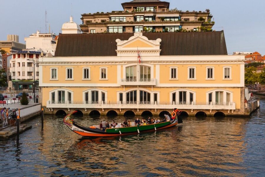 From Porto: Aveiro and Coimbra Private Tour - Who this day trip suits best