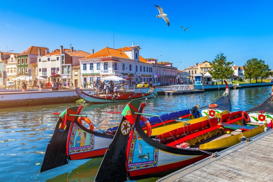 From Porto: Aveiro and Coimbra Private Tour - Lunch breaks that don’t feel like an afterthought