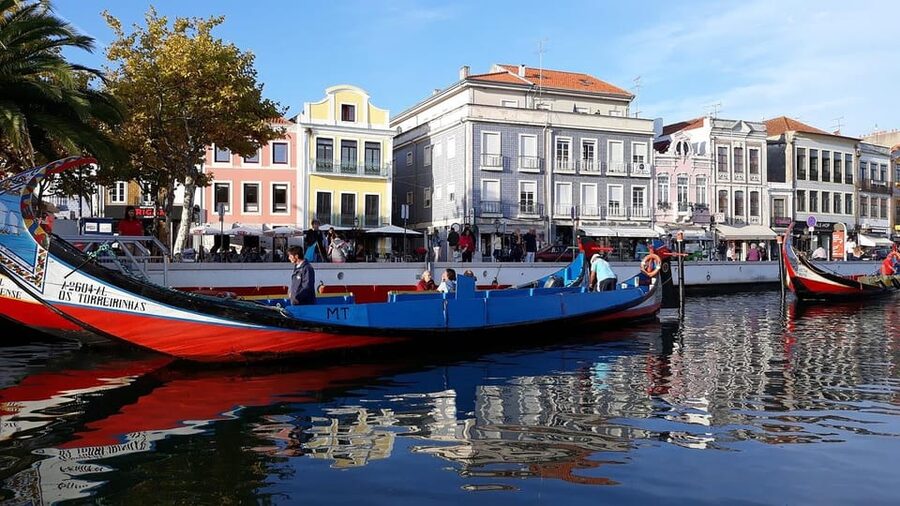 From Porto: Aveiro Half Day Tour - Key highlights you’ll actually feel