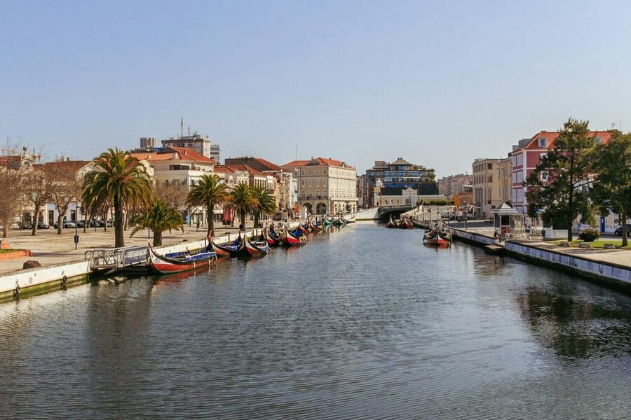 From Porto: Aveiro Half Day Tour - Salt pans viewpoints: seeing the working side behind Aveiro’s calm