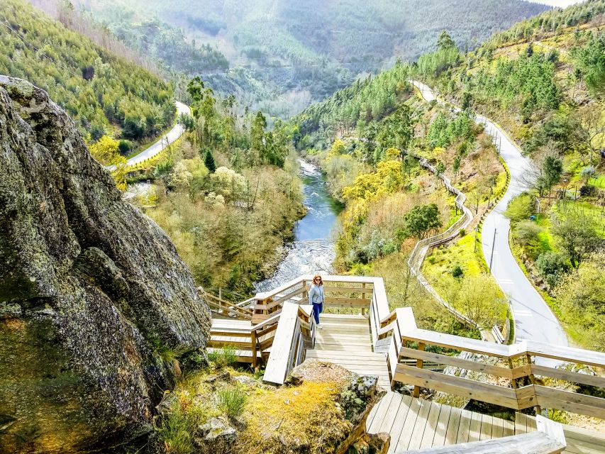 From Porto: Aveiro, Paiva Walkways, & Suspension Bridge Tour - Who This Tour Suits Best