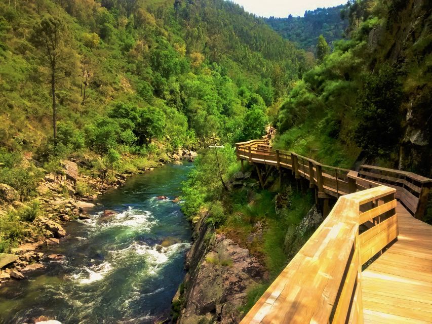 From Porto: Aveiro, Paiva Walkways, & Suspension Bridge Tour - Getting There: Meeting Point, Timing, and Real Group Comfort