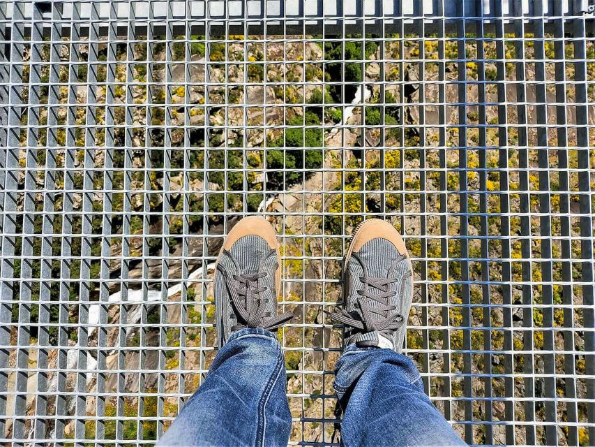From Porto: Aveiro, Paiva Walkways, & Suspension Bridge Tour - Price and Value: Why 127€ Feels Fair (If You Want This Exact Mix)