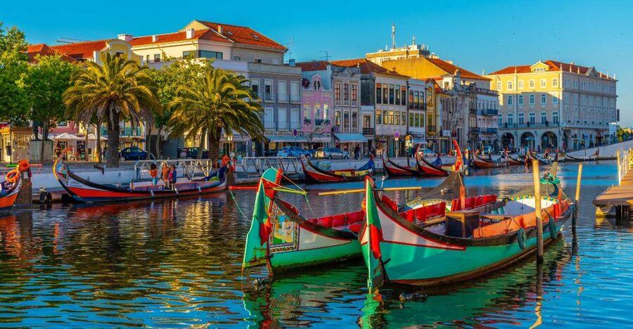 From Porto: Aveiro Private Guided Day Trip - The private ride and how the day stays flexible in real life