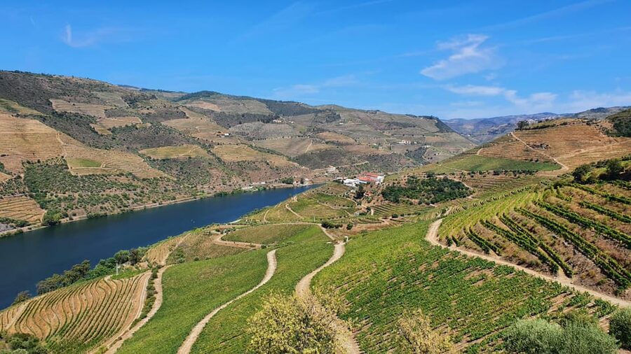 From Porto Day Douro Valley Wine Tour 2 Wine Tasting & Lunch - Timing, guide style, and why names matter