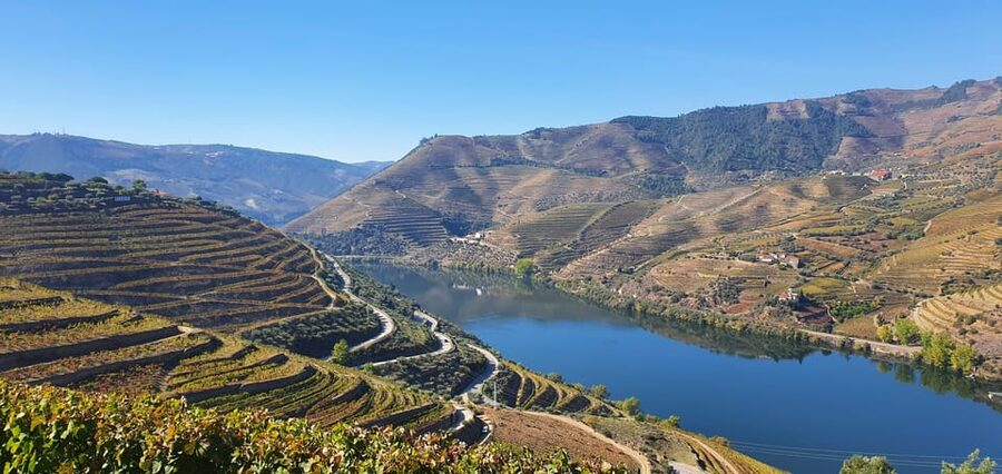 From Porto Day Douro Valley Wine Tour 2 Wine Tasting & Lunch - Pinhão and the N222 viewpoints: your best chance to slow down
