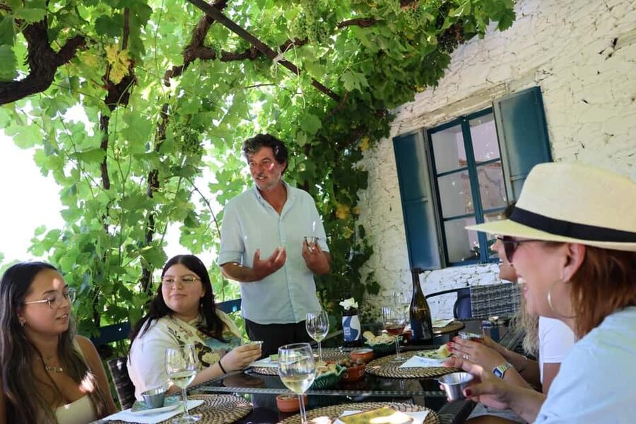 From Porto : Douro Valley sightseeing with 1 Winery Visit - Pinhão Village and your choice: wander or take the 1-hour boat cruise