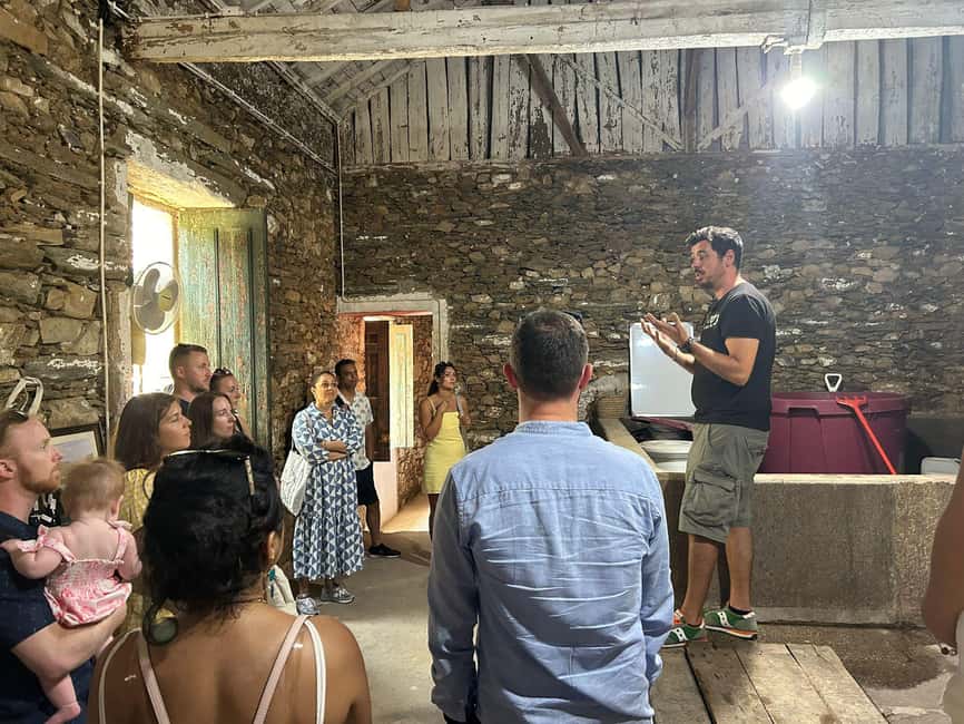 From Porto : Douro Valley sightseeing with 1 Winery Visit - What kind of traveler this tour fits best