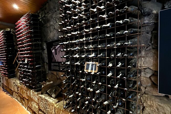 From Porto: Douro Valley Tour with 2 Wineries, Lunch and Cruise - What guides do best here (and how you can help your own day)