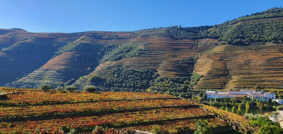 From Porto Douro Valley Tour with Train and Vinho Verde - Amarante Visit and Another Wine Tasting