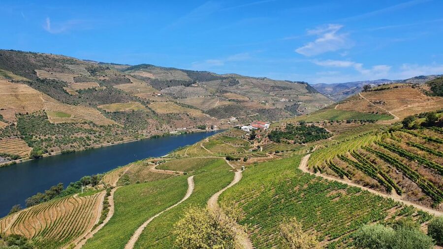 From Porto Douro Valley Tour with Train and Vinho Verde - Boat Cruise on the Douro: The Best Hour for Photos and Quiet
